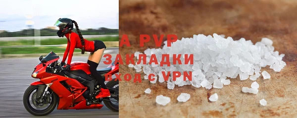 эйфоретик Дмитриев