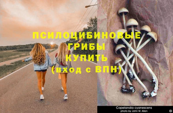 кокаин Дмитровск