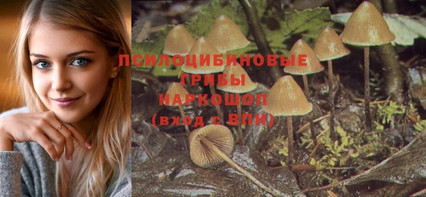 эйфоретик Дмитриев