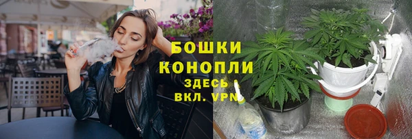 герыч Дмитров